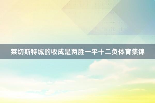 莱切斯特城的收成是两胜一平十二负体育集锦