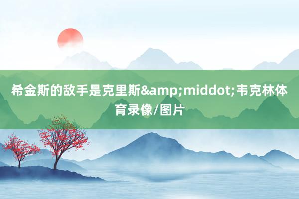 希金斯的敌手是克里斯&middot;韦克林体育录像/图片