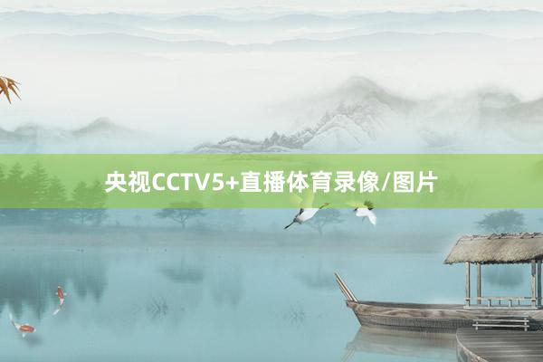 央视CCTV5+直播体育录像/图片