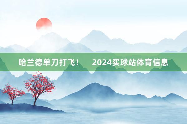 哈兰德单刀打飞！    2024买球站体育信息