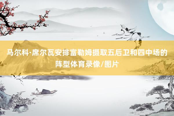 马尔科·席尔瓦安排富勒姆摄取五后卫和四中场的阵型体育录像/图片