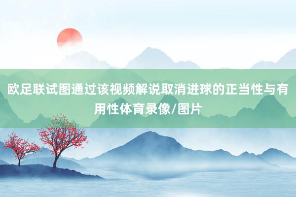 欧足联试图通过该视频解说取消进球的正当性与有用性体育录像/图片