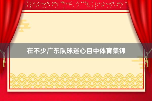 在不少广东队球迷心目中体育集锦