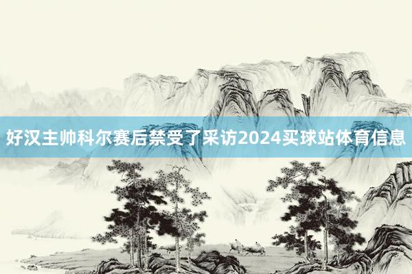 好汉主帅科尔赛后禁受了采访2024买球站体育信息