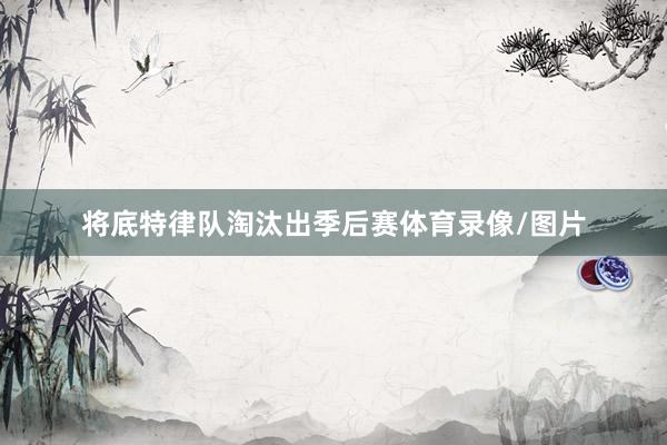 将底特律队淘汰出季后赛体育录像/图片