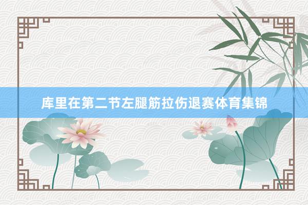 库里在第二节左腿筋拉伤退赛体育集锦