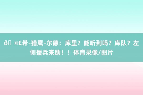 🤣希-猎鹰-尔德：库里？能听到吗？库队？左侧援兵来助！！体育录像/图片