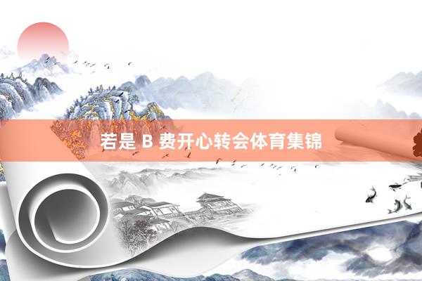 若是 B 费开心转会体育集锦