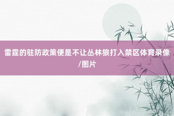 雷霆的驻防政策便是不让丛林狼打入禁区体育录像/图片