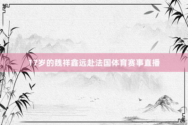 17岁的魏祥鑫远赴法国体育赛事直播