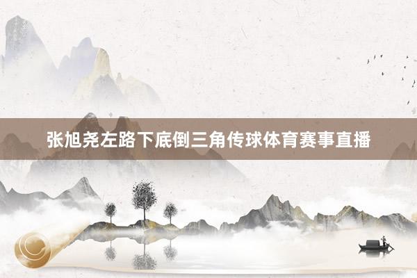 张旭尧左路下底倒三角传球体育赛事直播