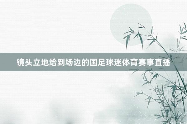 镜头立地给到场边的国足球迷体育赛事直播