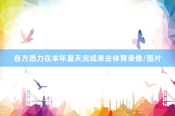 各方悉力在本年夏天完成来去体育录像/图片