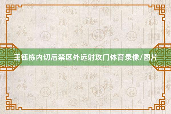王钰栋内切后禁区外远射攻门体育录像/图片