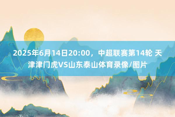 2025年6月14日20:00，中超联赛第14轮 天津津门虎VS山东泰山体育录像/图片