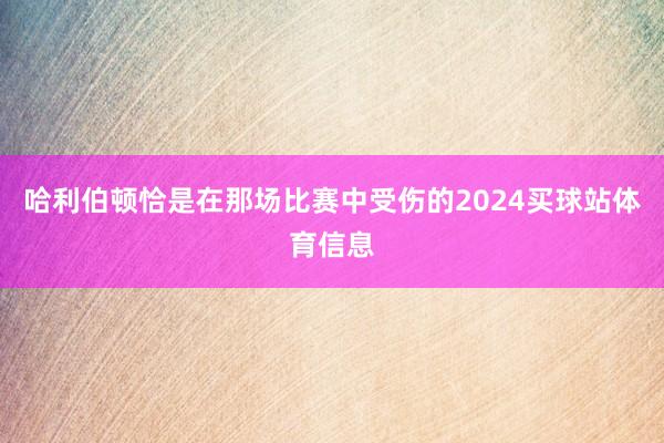 哈利伯顿恰是在那场比赛中受伤的2024买球站体育信息
