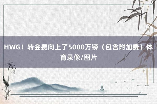 HWG！转会费向上了5000万镑（包含附加费）体育录像/图片
