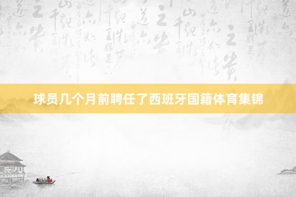 球员几个月前聘任了西班牙国籍体育集锦