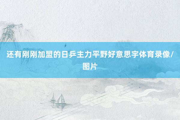 还有刚刚加盟的日乒主力平野好意思宇体育录像/图片