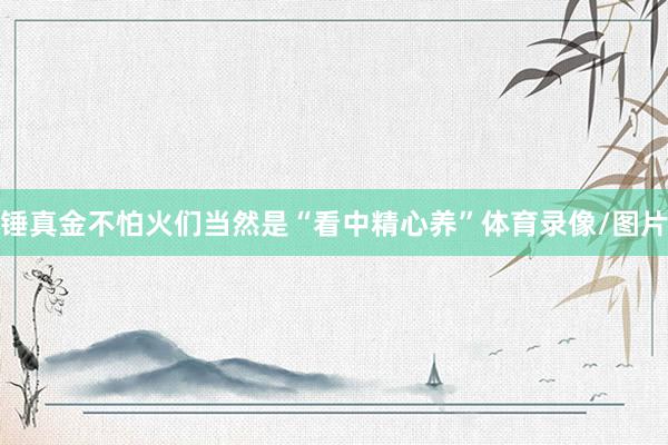 锤真金不怕火们当然是“看中精心养”体育录像/图片