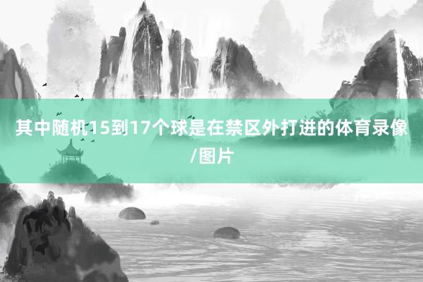 其中随机15到17个球是在禁区外打进的体育录像/图片