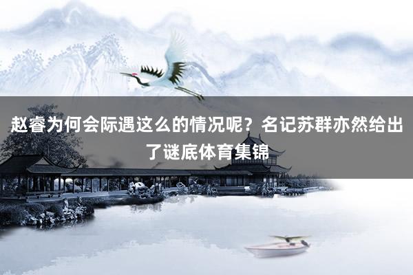 赵睿为何会际遇这么的情况呢？名记苏群亦然给出了谜底体育集锦