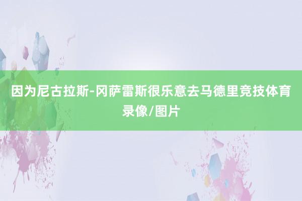 因为尼古拉斯-冈萨雷斯很乐意去马德里竞技体育录像/图片