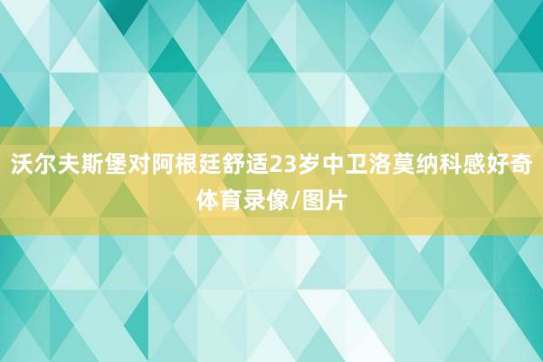沃尔夫斯堡对阿根廷舒适23岁中卫洛莫纳科感好奇体育录像/图片
