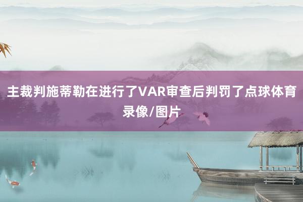 主裁判施蒂勒在进行了VAR审查后判罚了点球体育录像/图片