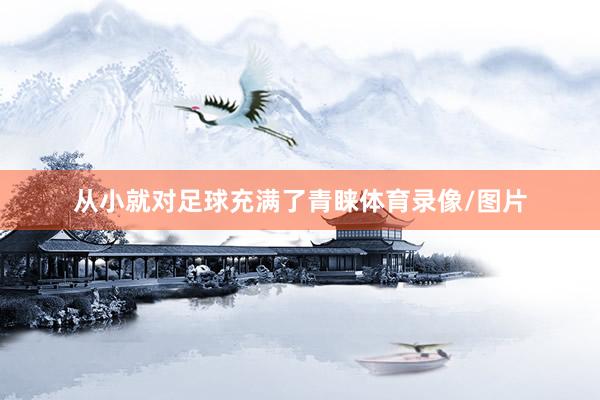 从小就对足球充满了青睐体育录像/图片