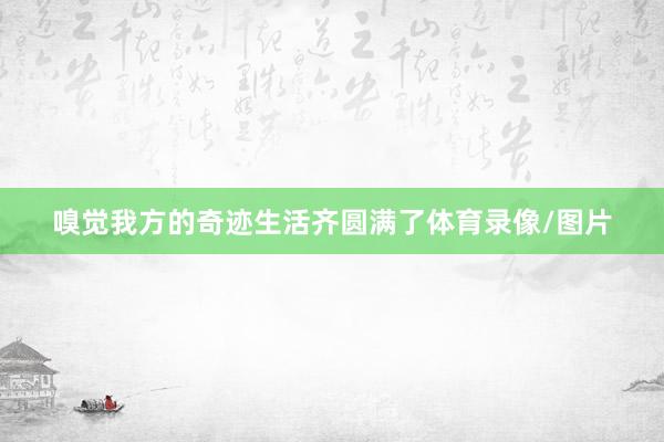 嗅觉我方的奇迹生活齐圆满了体育录像/图片