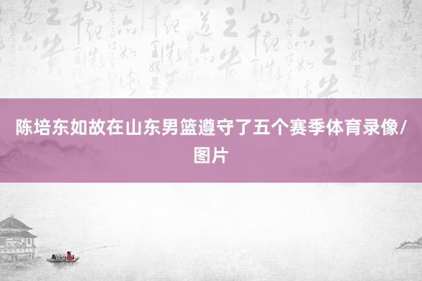 陈培东如故在山东男篮遵守了五个赛季体育录像/图片