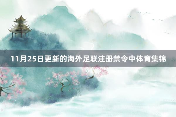 11月25日更新的海外足联注册禁令中体育集锦