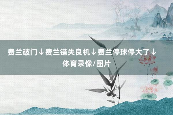 费兰破门↓费兰错失良机↓费兰停球停大了↓    体育录像/图片