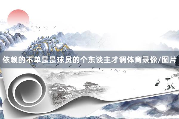 依赖的不单是是球员的个东谈主才调体育录像/图片