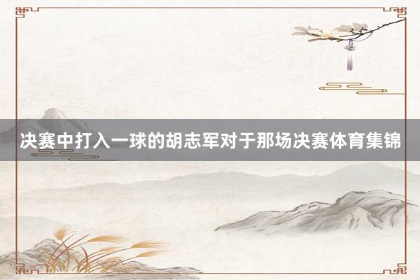 决赛中打入一球的胡志军对于那场决赛体育集锦