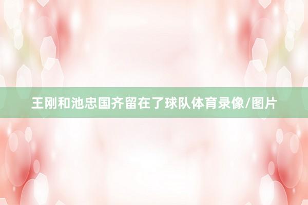 王刚和池忠国齐留在了球队体育录像/图片