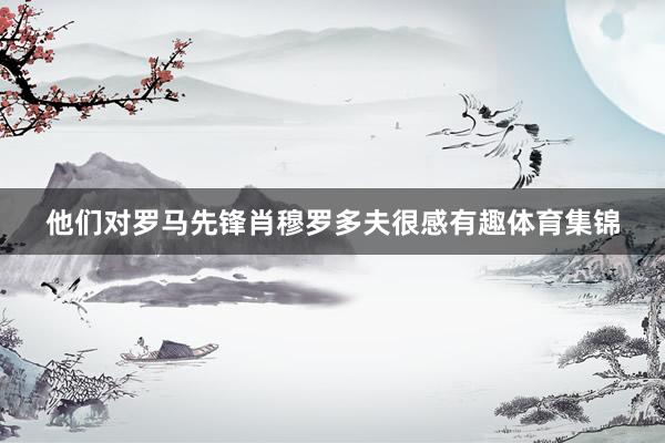 他们对罗马先锋肖穆罗多夫很感有趣体育集锦