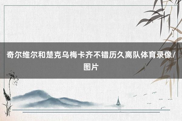 奇尔维尔和楚克乌梅卡齐不错历久离队体育录像/图片