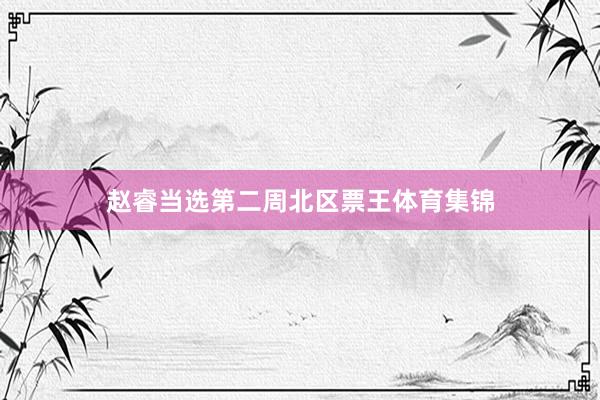 赵睿当选第二周北区票王体育集锦