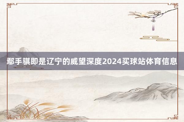 鄢手骐即是辽宁的威望深度2024买球站体育信息