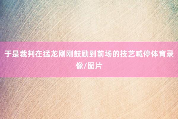 于是裁判在猛龙刚刚鼓励到前场的技艺喊停体育录像/图片
