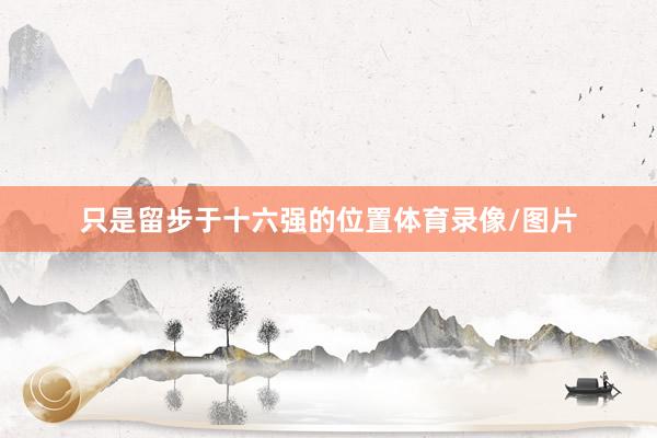 只是留步于十六强的位置体育录像/图片