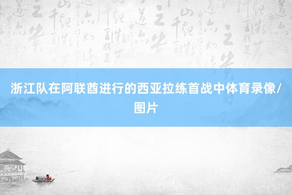 浙江队在阿联酋进行的西亚拉练首战中体育录像/图片