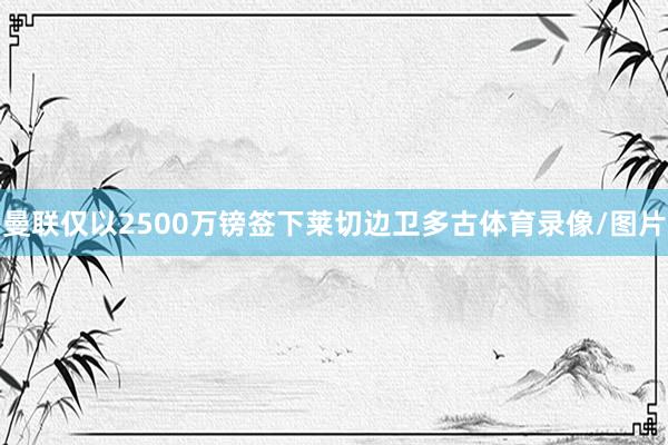 曼联仅以2500万镑签下莱切边卫多古体育录像/图片