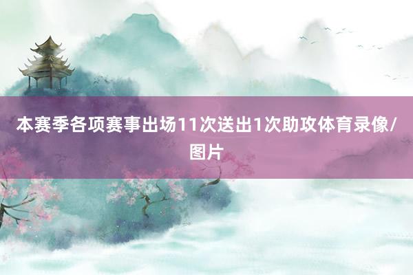 本赛季各项赛事出场11次送出1次助攻体育录像/图片
