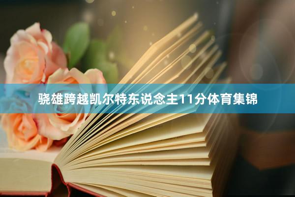 骁雄跨越凯尔特东说念主11分体育集锦