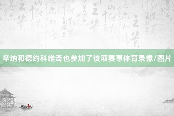 辛纳和德约科维奇也参加了该项赛事体育录像/图片
