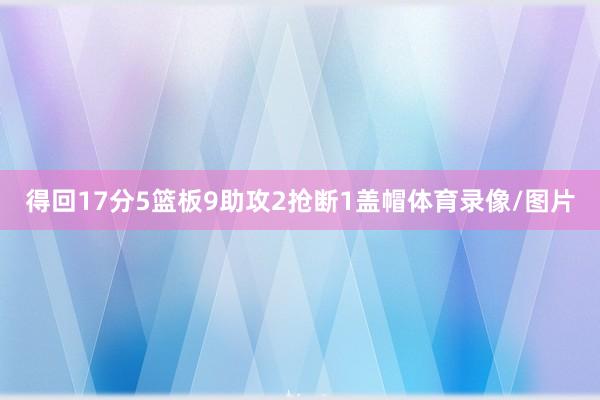 得回17分5篮板9助攻2抢断1盖帽体育录像/图片