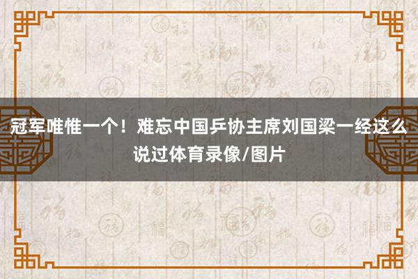 冠军唯惟一个！难忘中国乒协主席刘国梁一经这么说过体育录像/图片